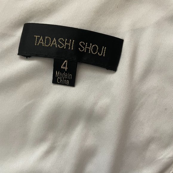 Tadashi Shoji Scalloped V-Neck Sleeveless Two Tone Corded Lace Gown - Picture 10 of 10